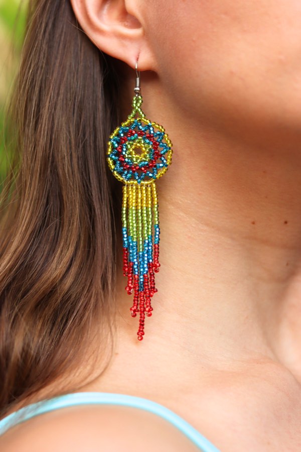 Colorful Beaded Fringe Tassel Earrings